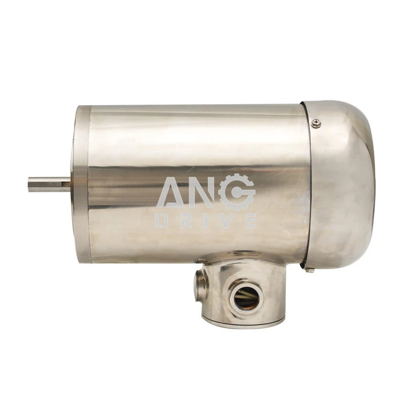 stainless motor.jpg stainless motor.jpg