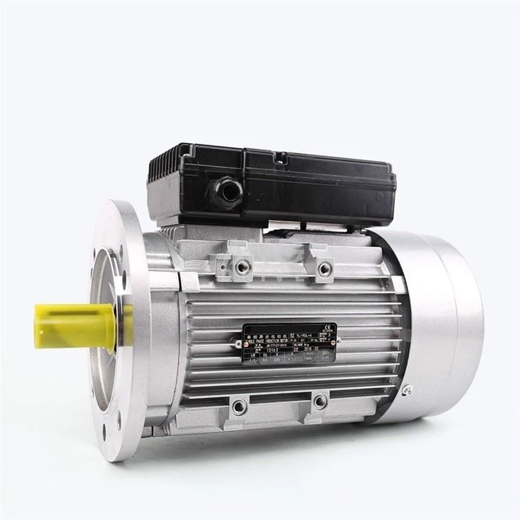 1 HP electric motors