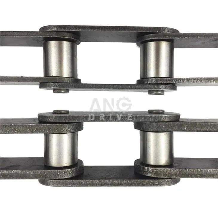 roller chain drive
