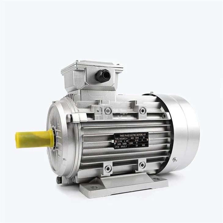 Three phase induction motors