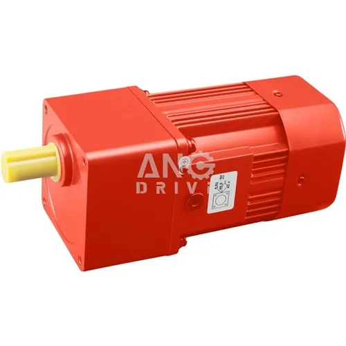 Modur Mirco 250W